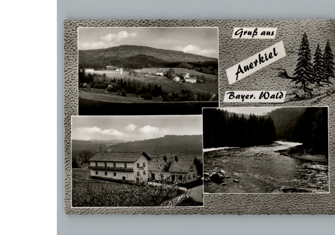 Oberauerkiel Viechtach