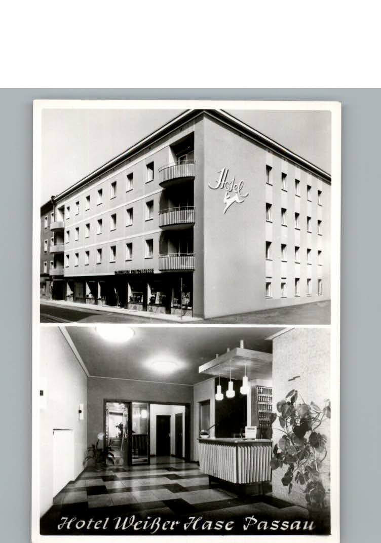 Passau Hotel weisser Hase