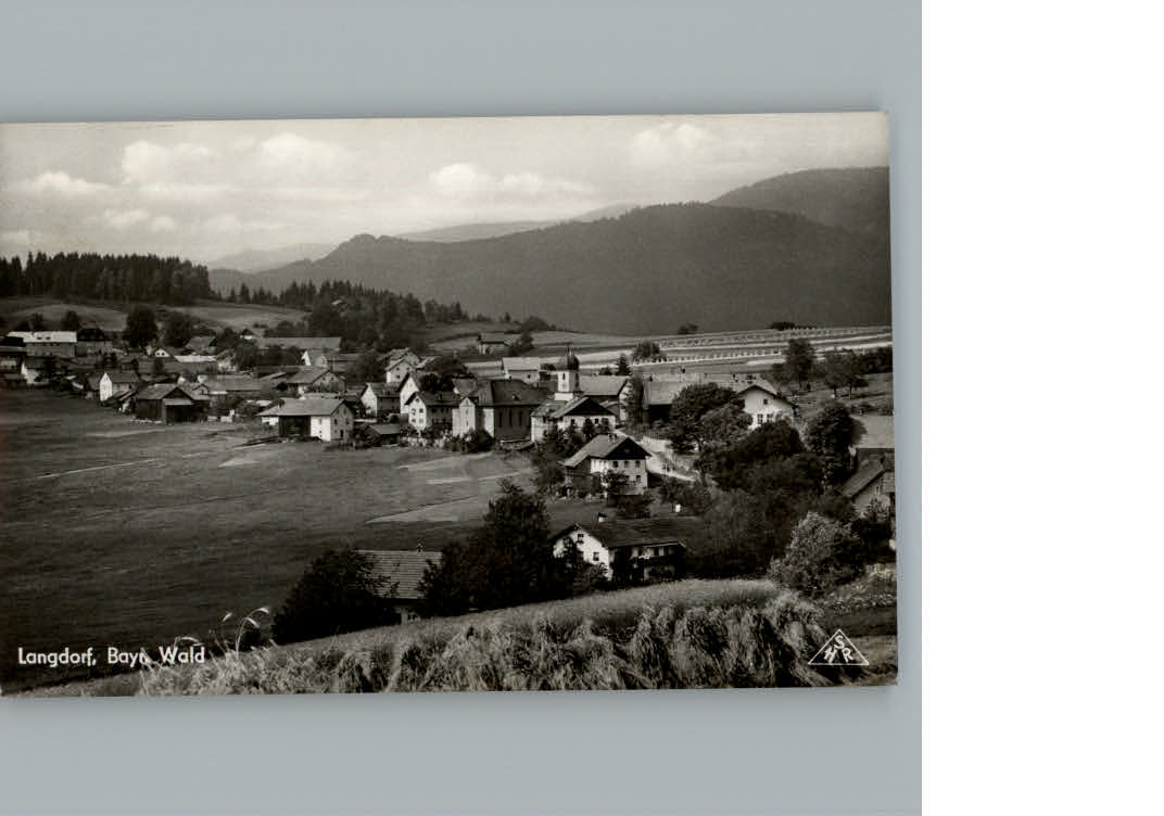 Langdorf Regen Ortsansicht