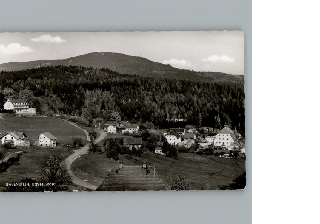 Rabenstein Zwiesel Ortsansicht