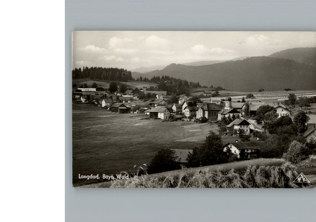 Langdorf Regen Fliegeraufnahme