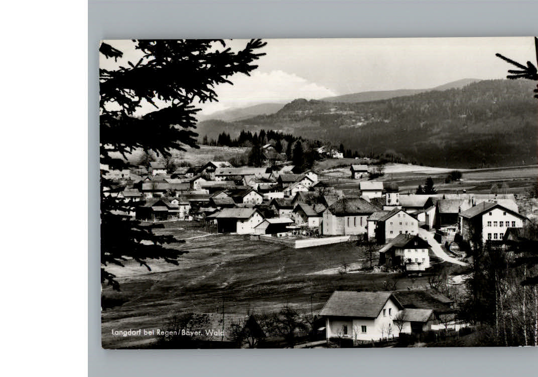 Langdorf Regen Ortsansicht