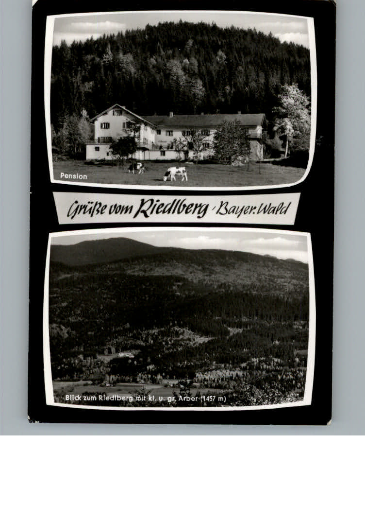 Riedlberg Pension