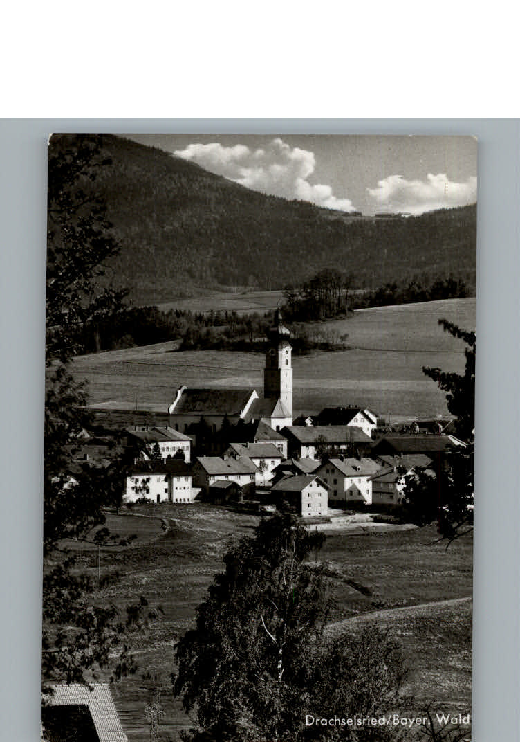 Drachselsried Ortsansicht