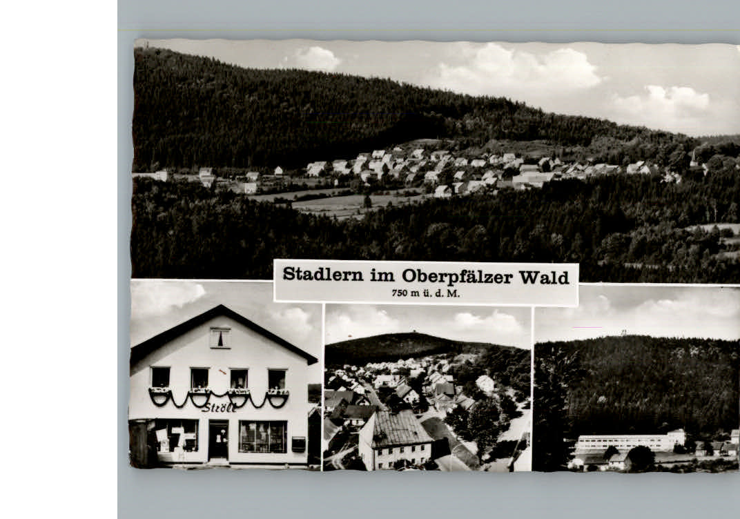 Stadlern Lam Oberpfalz