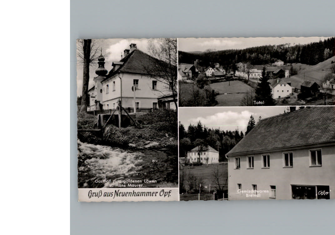 Neuenhammer Gasthof zum goldener Loewe