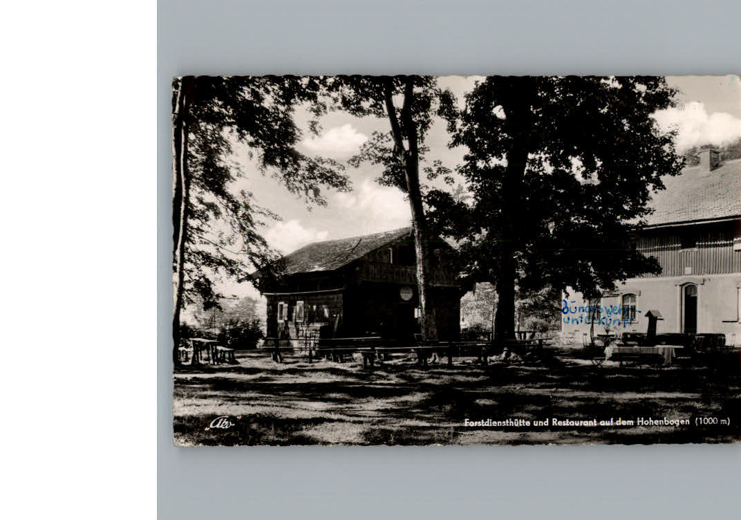 Rimbach Oberpfalz Restaurant Hohenbogen