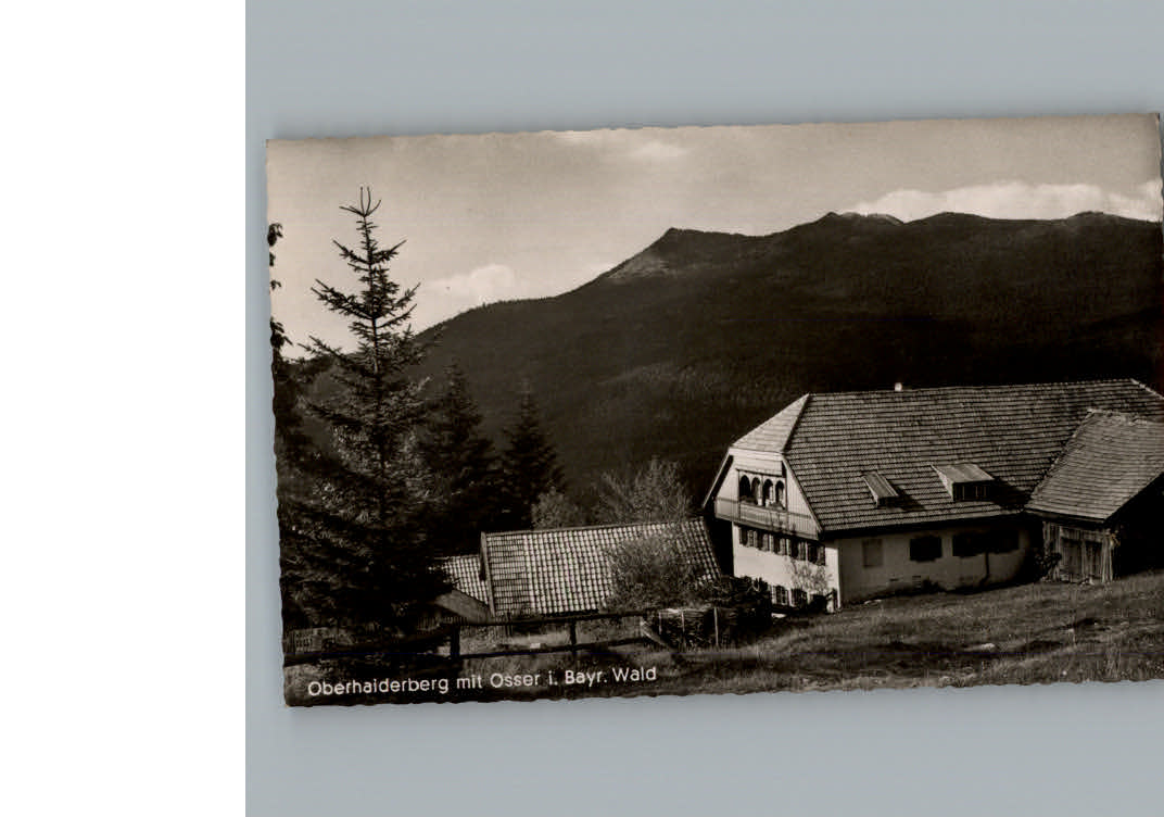 Oberhaiderberg Pension Pfeffer