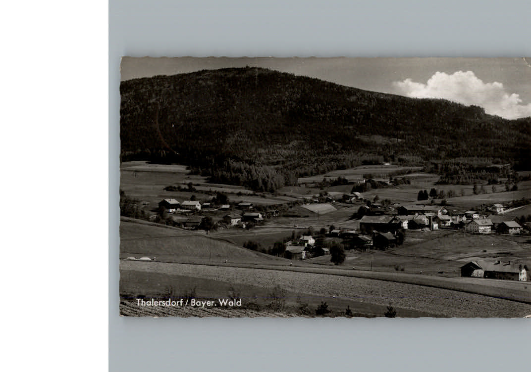 Thalersdorf