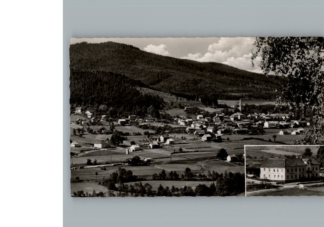 Hohenwarth Koetzting Gasthof Klier