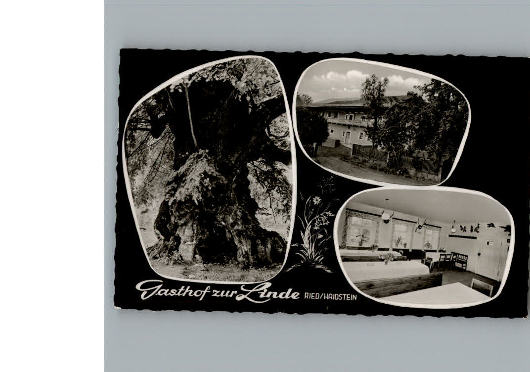 Ried Gleissenberg Gasthof zur Linde