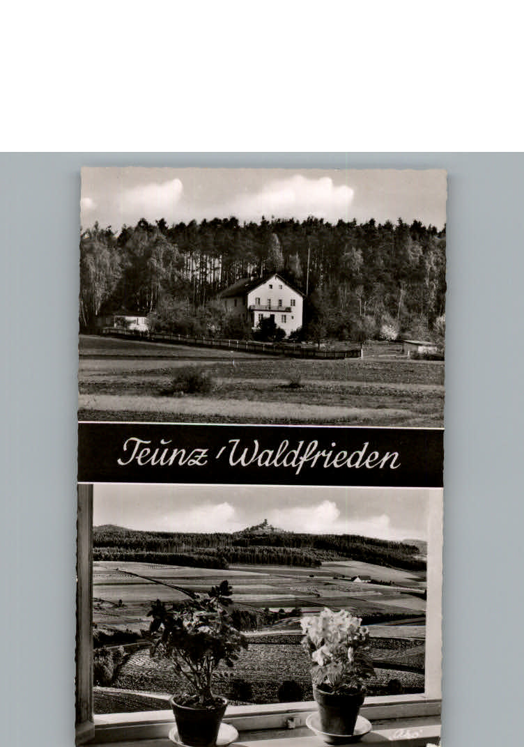 Teunz Pension Waldfrieden