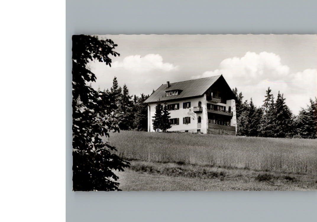 Pfaben Berghotel zum Steinwaldhaus