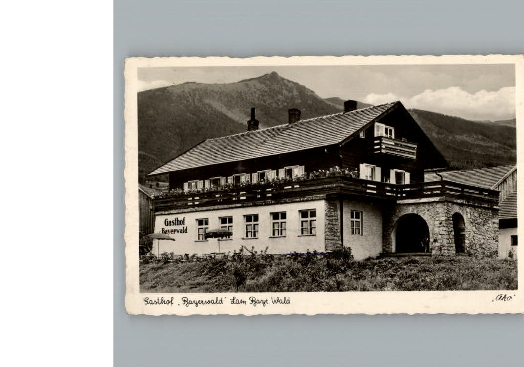 Lam Oberpfalz Gasthof Pension Bayerwald