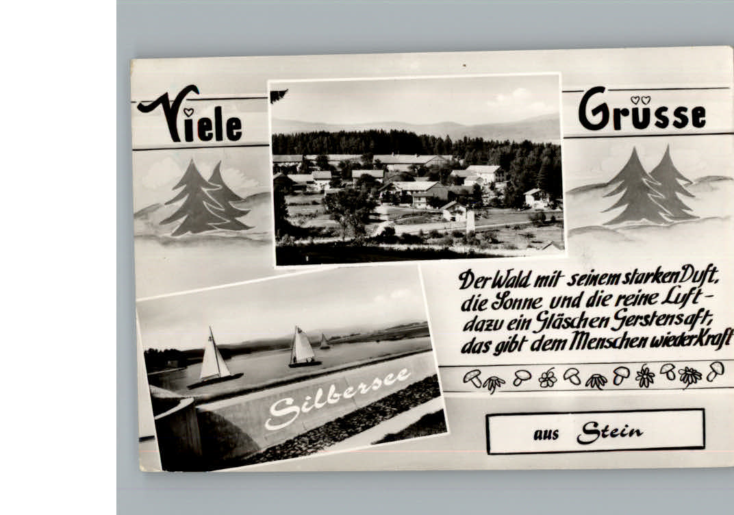 Stein Cham Silbersee