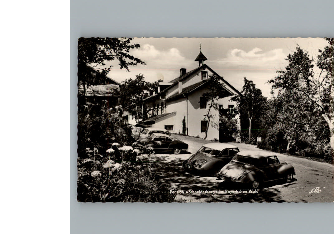 Schneiderberg Hotel Pension Schneiderberg