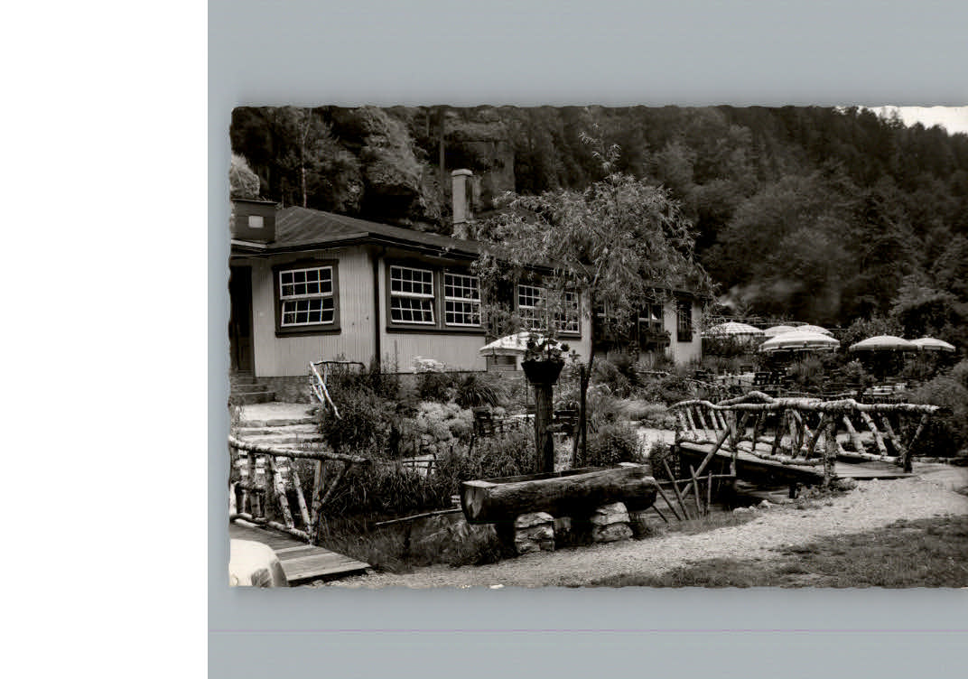 Pottenstein Oberfranken Cafe Wald