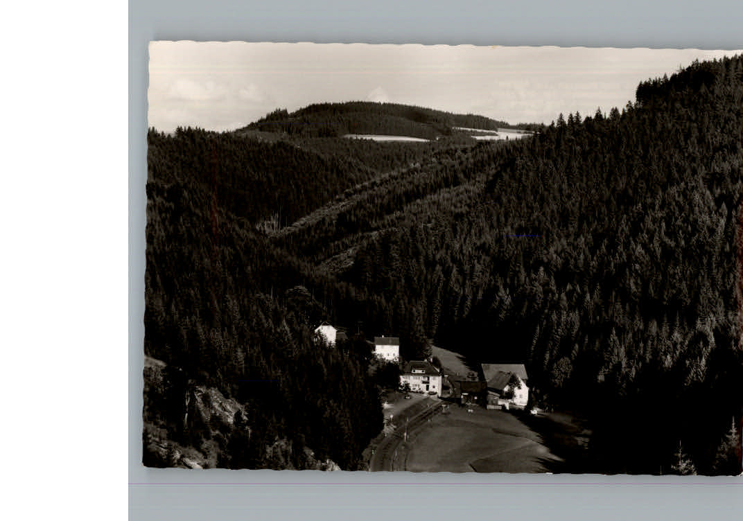 Schuebelhammer a Wald Cafe - Pension Zur Muehle