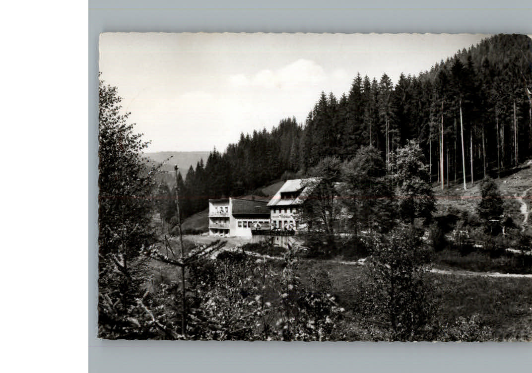 Warmensteinach Hotel Pfeiferhaus