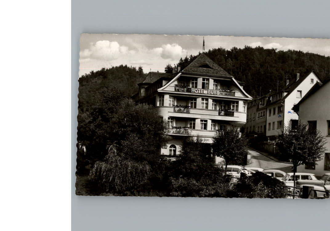 Bad Berneck Hotel Bube
