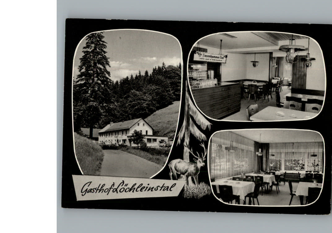 Warmensteinach Gasthof Loechleinstal