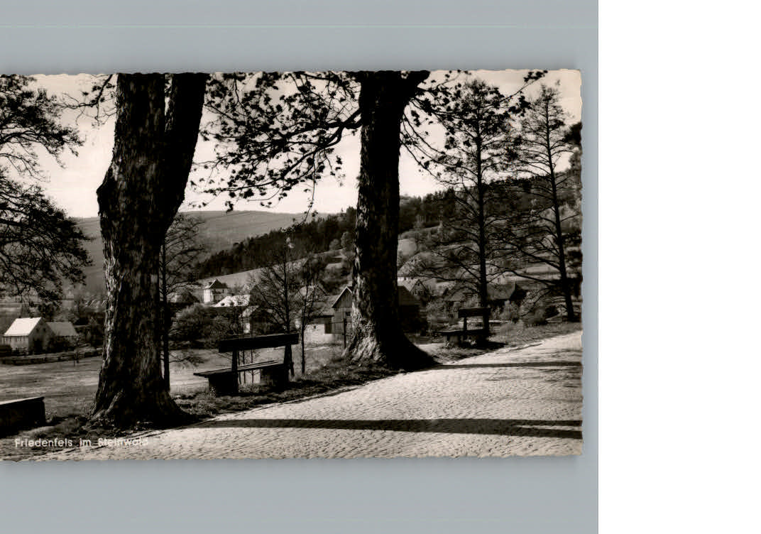 Friedenfels