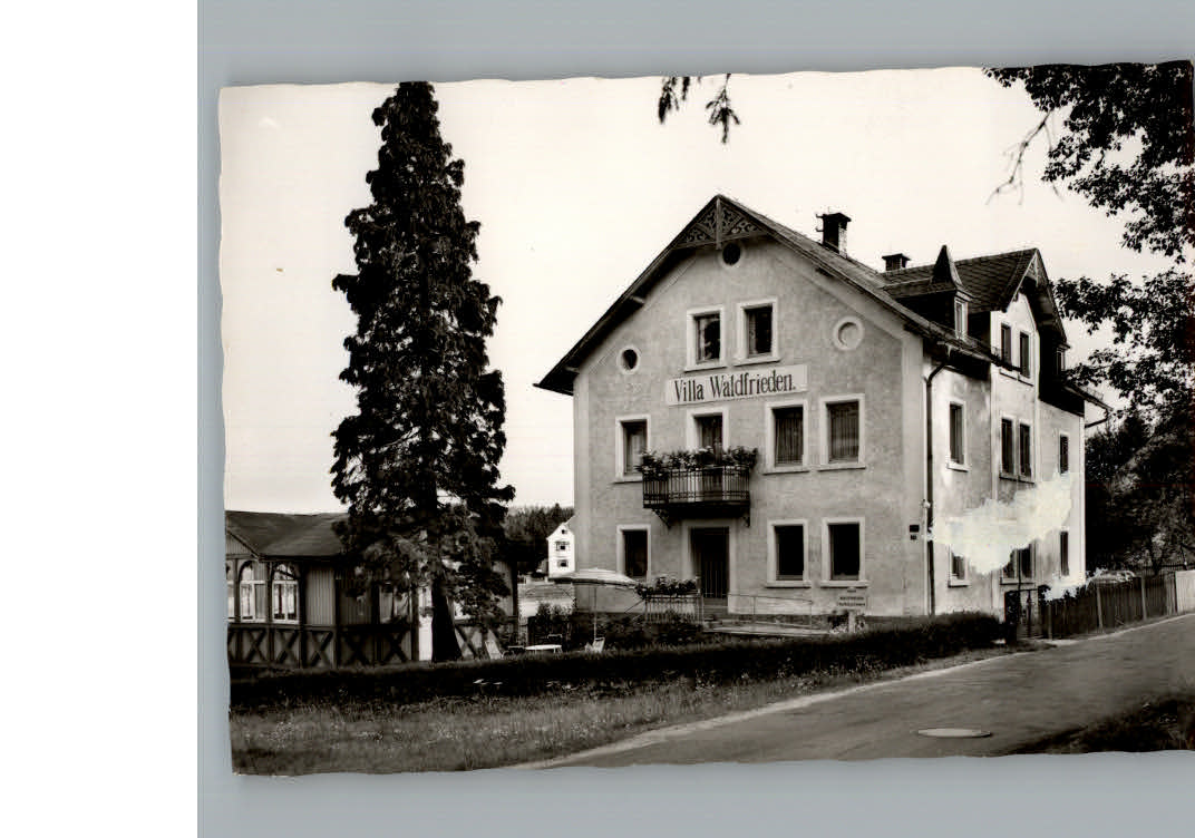 Bad  Alexandersbad Pension Villa Waldfrieden