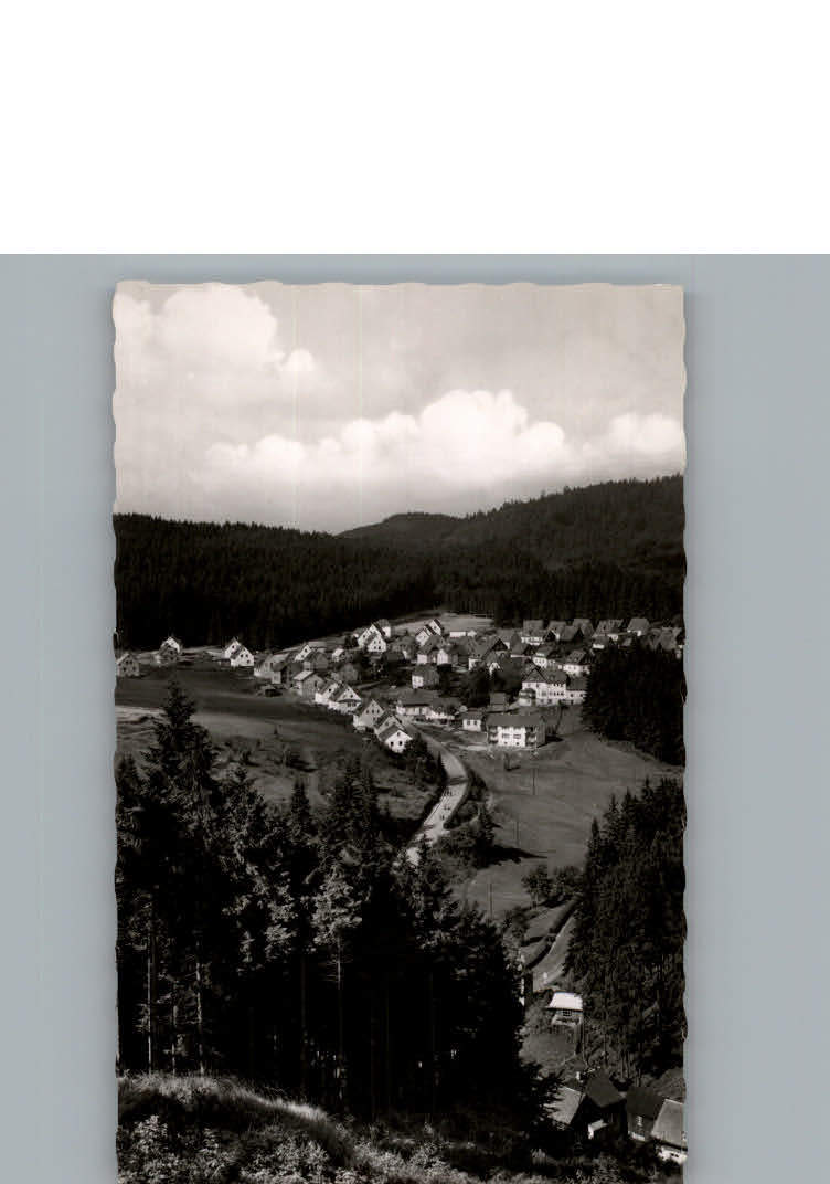 Silberstein Geroldsgruen