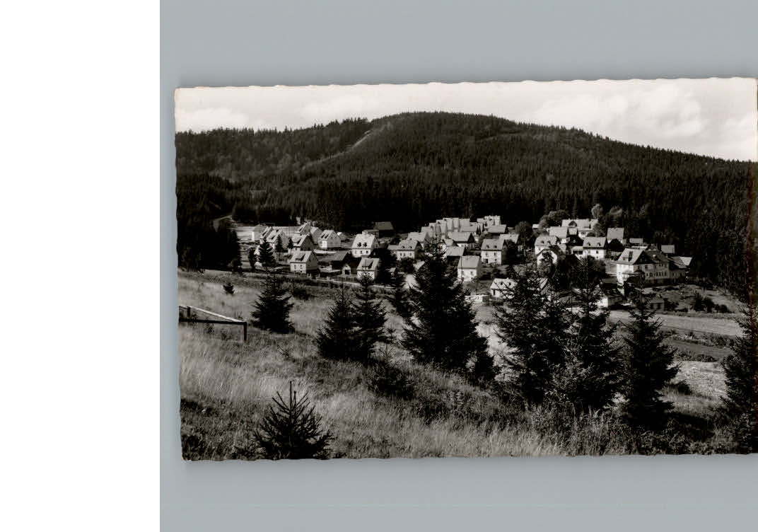 Silberstein Geroldsgruen