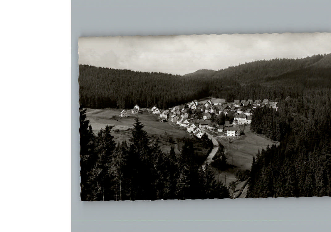 Silberstein Geroldsgruen