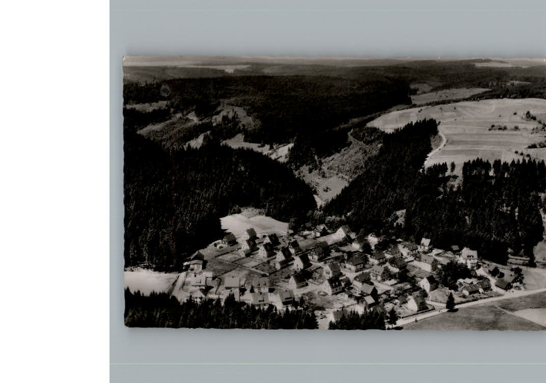 Duerrenwaid Fliegeraufnahme