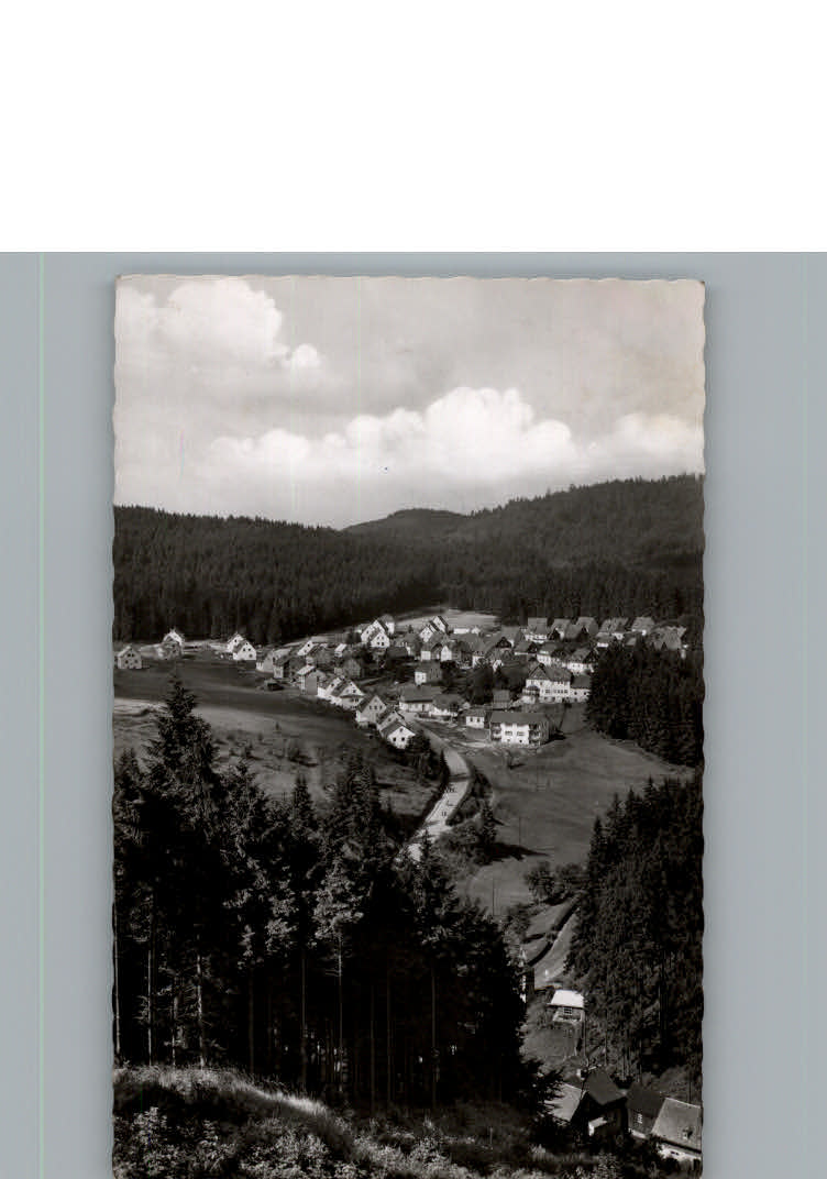 Silberstein Geroldsgruen