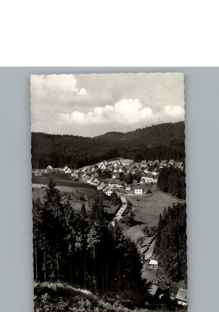 Silberstein Geroldsgruen