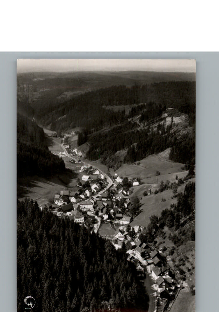 Duerrenwaid Fliegeraufnahme