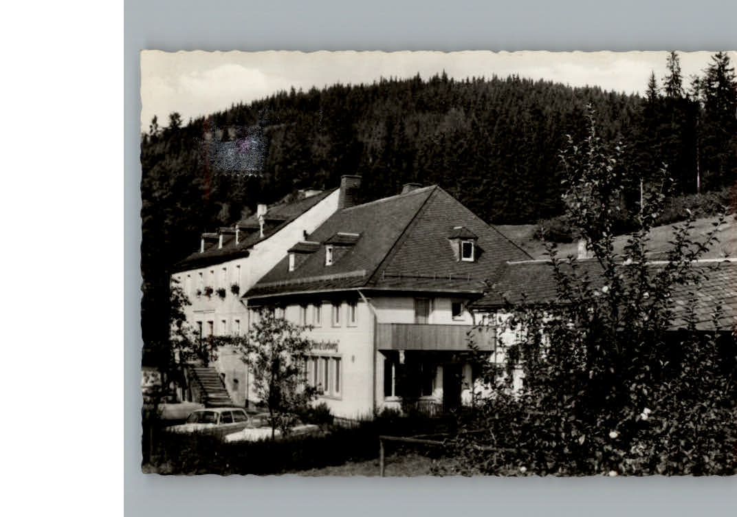 Duerrenwaid Gasthof Pension Prinz Ludwig