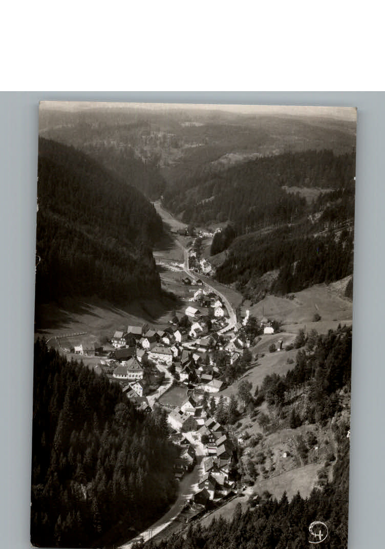 Duerrenwaid Fliegeraufnahme