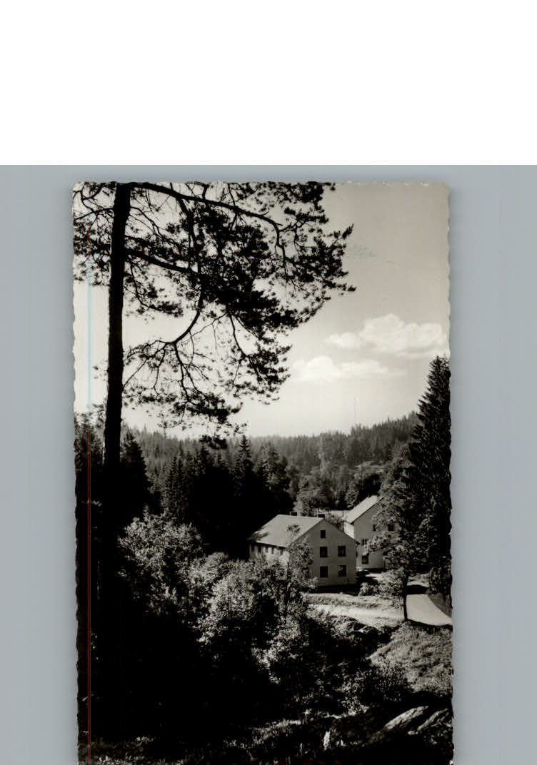 Grossrehmuehle Gasthof zum Rehbachtal