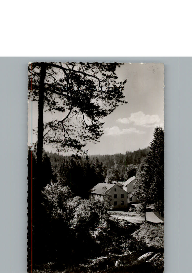 Grossrehmuehle Gasthaus zum Rehbachtal