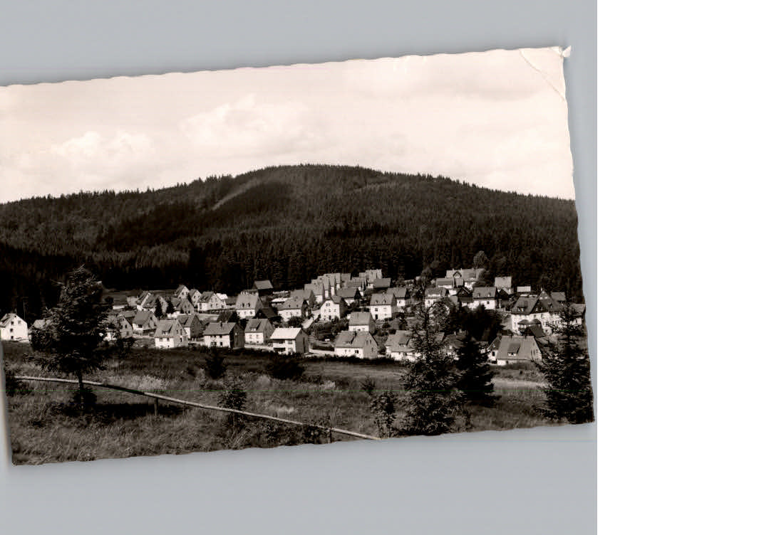 Silberstein Geroldsgruen