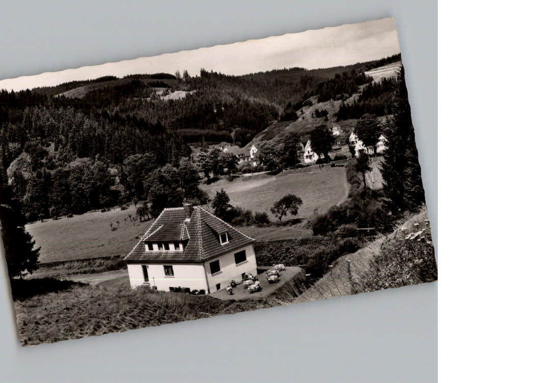 Steinwiesen Pension Martel Hof