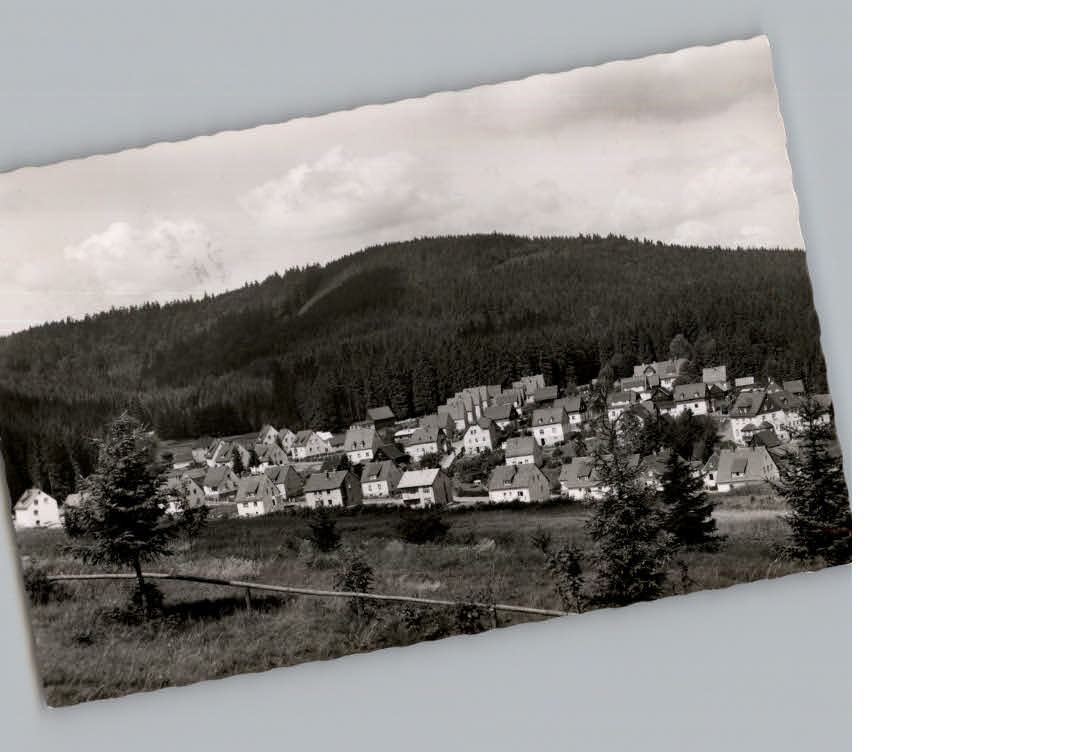 Silberstein Geroldsgruen