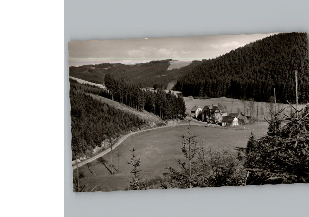 Wellesbach Oberfranken Gasthaus Wellesbach