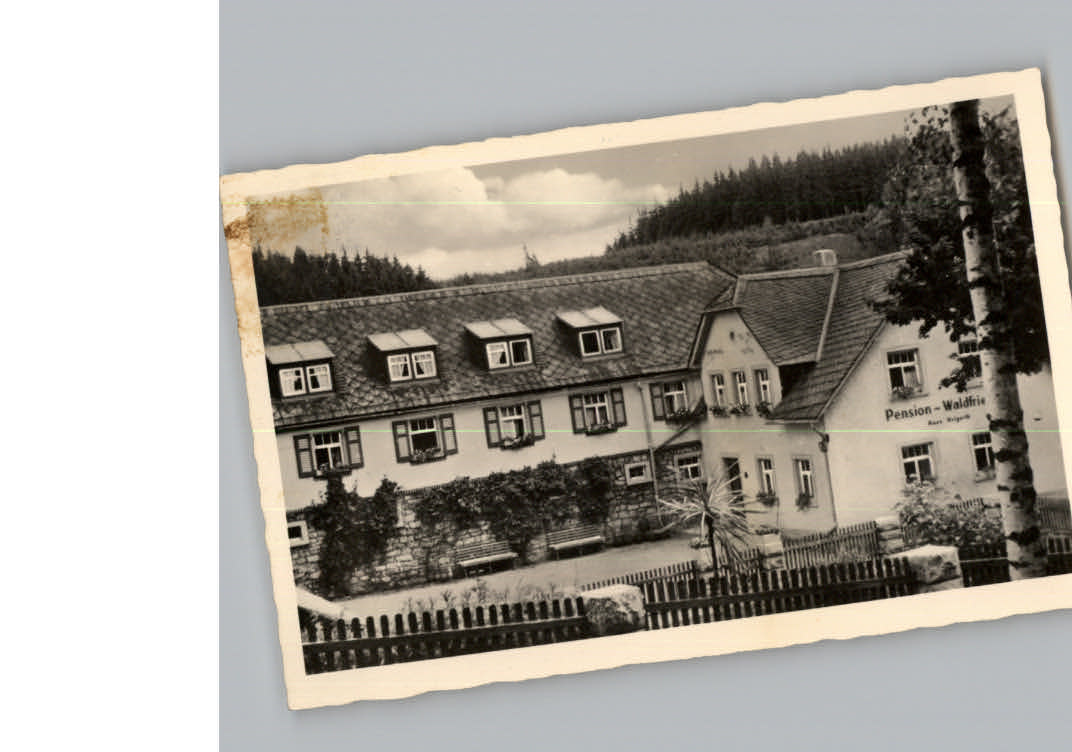 Birken Enchenreuth Pension Waldfrieden