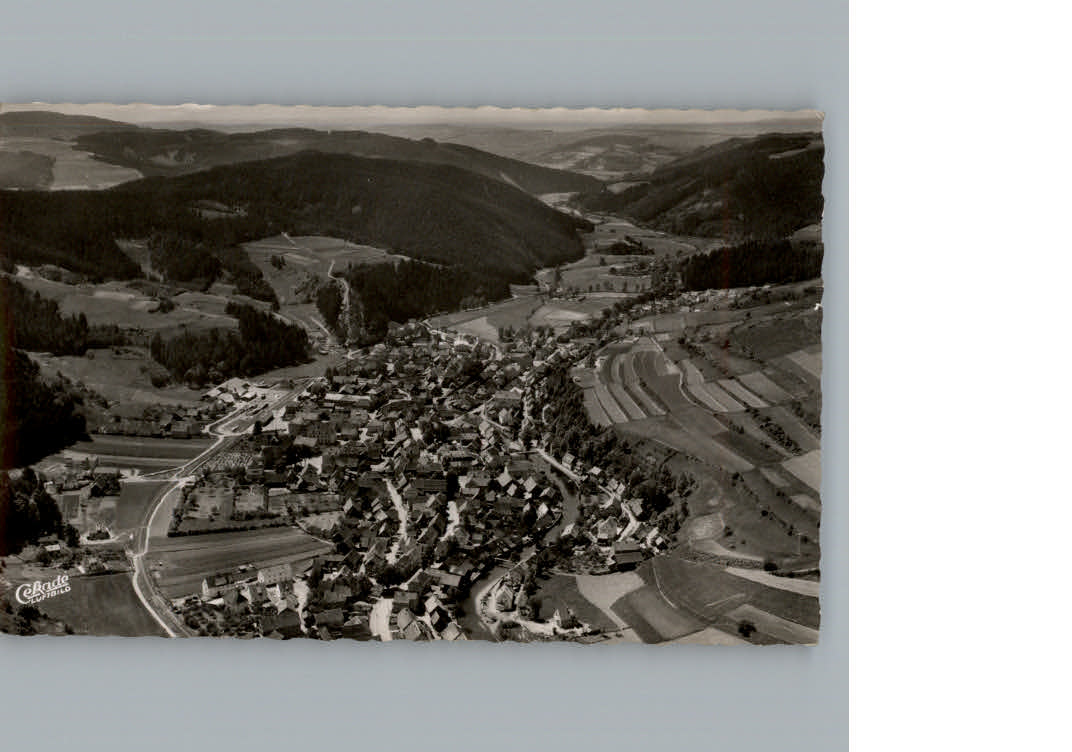 Steinwiesen Fliegeraufnahme