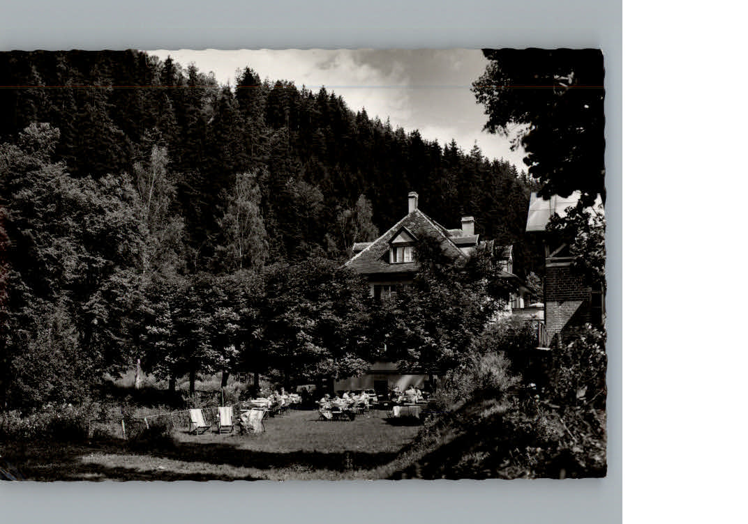 Wirsberg Hotel Hubertus