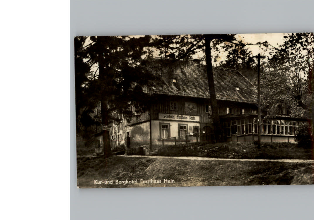 Oybin Berghotel-Forsthaus Hain