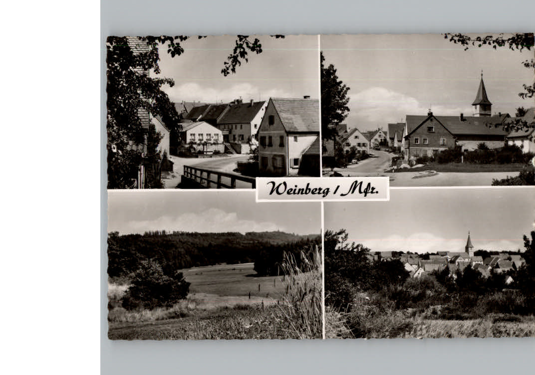 Weinberg Mittelfranken