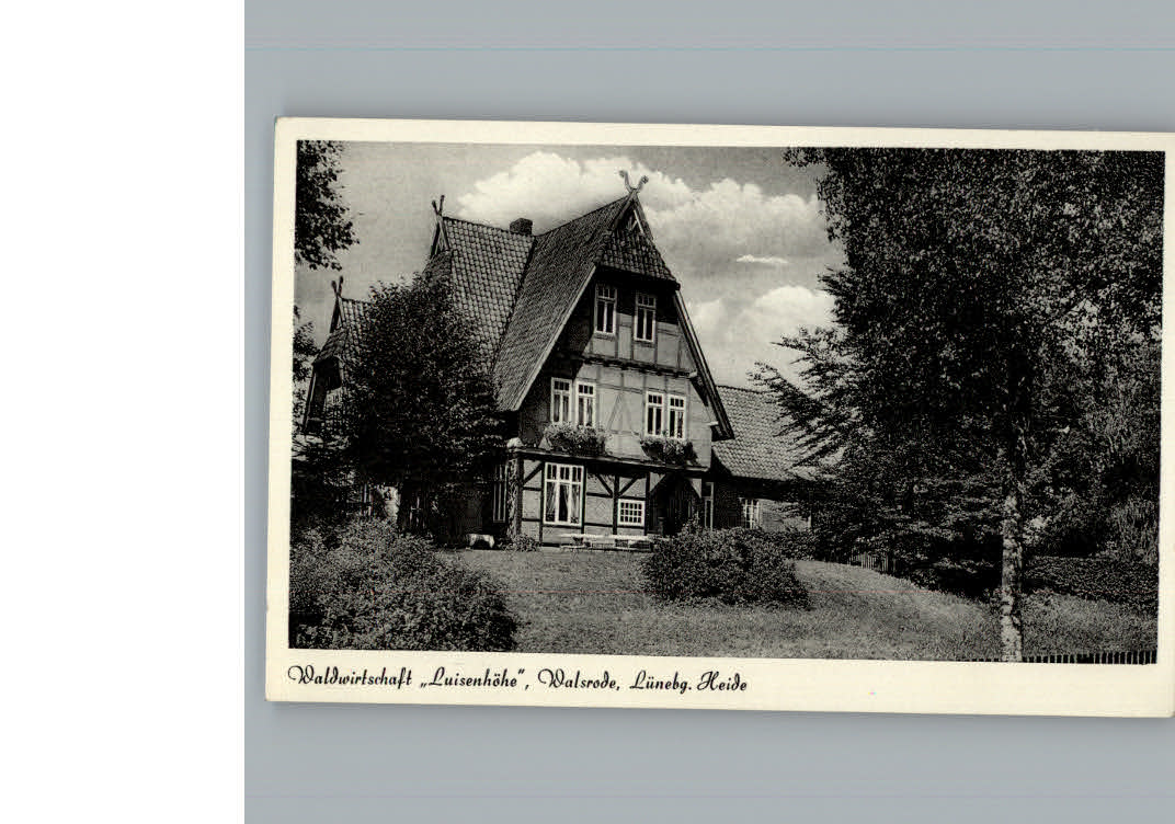 Walsrode Lueneburger Heide Wirtschaft Luisenhoehe