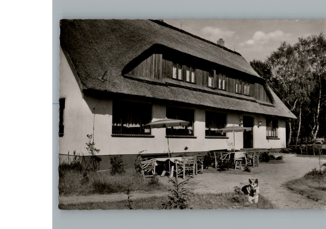 Behringen Bispingen Hotel Ankara