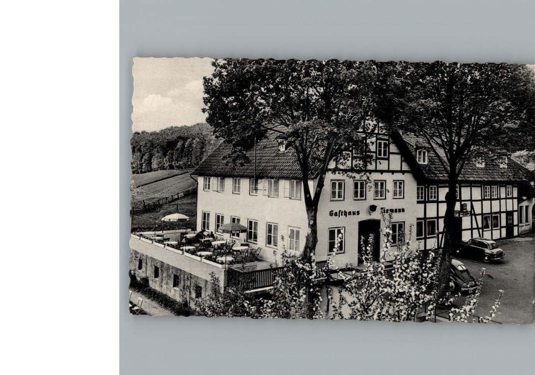 Schieder Hotel zur Herlingsburg